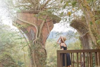 苗栗三韵.人文散策～桂花巷+木雕博物馆+山线铁道自行车一日游【可以附加 英.日.韩.泰.越南.菲律宾.印尼.马来.等多种语言.订购栏目中订购英文.备注栏中告知即可】