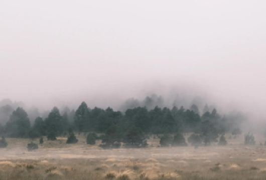墨西哥城-大神庙-太阳金字塔-宪法广场-国家宫-包车私享行【精选热门景点，高效游玩不走回头路，深度了解文化内涵，贴心服务保障，轻松享受旅程，性价比超高的旅行。】