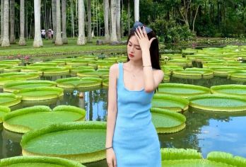 中国科学院西双版纳热带植物园【1单1团丨私享资深讲解丨【[Mini小团]独立讲解，含接送，探奇花异卉与绞杀奇观，亲密接触13700余种热带植物，畅游绿石林。】