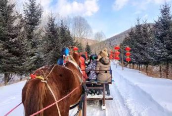 中国雪乡一日游+大秃顶山纯玩一日游【纯玩小团，不拼团】