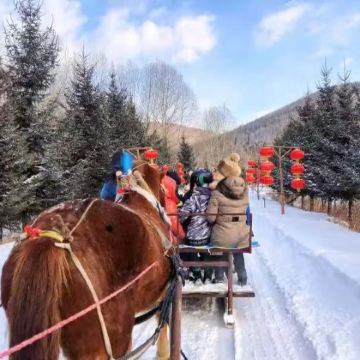 中国雪乡一日游+大秃顶山包车一日游