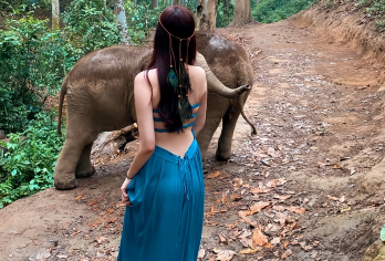 西双版纳野象谷+原始森林公园一日游|邂逅野象+观孔雀放飞【[品质保障]真纯玩，拒绝低价购物， 无任何套路和 强制消费，所有赠送皆为福利】