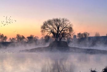 千岛湖+红石崖国家生态公园+上门接送+赏雾松一日游【这人间烟花 我们只来一次 不如真诚一点 过的放肆 永远热烈而自由！】
