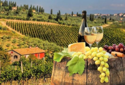 意大利基安蒂葡萄酒产区半日游|含2座酒庄参观品酒【参观经典基安蒂葡萄酒庄，品尝当地特产美酒美食，在托斯卡纳艳阳下享受杯酒人生！】