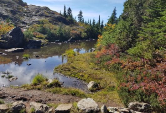 加拿大温哥华出发：史蒂夫斯顿渔人码头+白石小镇一日游【省时省心+行程灵活+VIP包车一站式服务+中文司导】