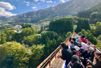 九州高千穗峡谷一日游：天空小火车森林洗礼&探秘天安河原【搭乘特色天照峡谷小火车，沿溪谷蜿蜒而行，沉浸式欣赏高千穗的碧水与断崖奇景。】