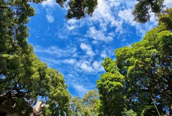 广州北京路+沙面岛+圣心大教堂+永庆坊【中文司机，10小时VIP小团服务】