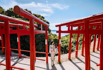 北九州海岸线一日游：门司港/唐户市场+元乃隅神社+皿仓山夜景【福冈出发一日往返，轻松玩转北九州海岸线。】