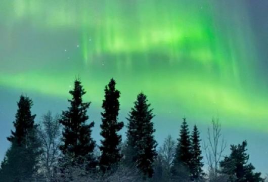 俄罗斯摩尔曼斯克｜极光猎人追光4小时（中文服务+市区接送）【摩尔曼斯克市区往返接送，专业极光猎人带您体验追光之旅。】