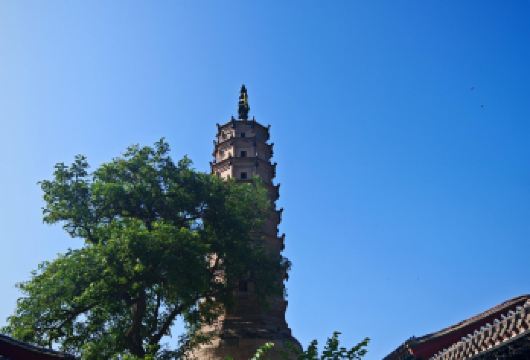 甘肃兰州黄河母亲雕塑+白塔山+黄河大桥包车一日游中英文服务【望黄河母亲，登白塔名山，跨百年铁桥，品敦煌艺术。】