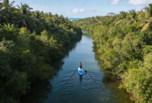 万宁日月湾椰林浆板 照片视频免费送 体验3小时 专业领队带队【风景优美 也不会很累的行程 女生拍照打卡很出片哦！】