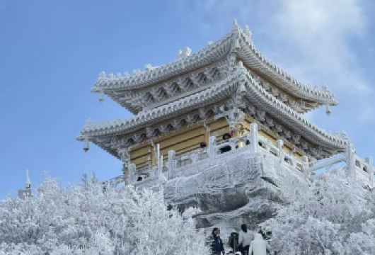洛阳白云山一日游|2.14号之前学生证免门票|纯玩景区直通车【[专职司导]2月跟团学生证免门票，专业持证导游司机，半自由行。】