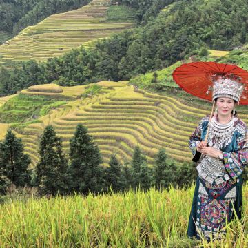 桂林：中旅×赞巴士深度龙脊梯田探险之旅，**体验。