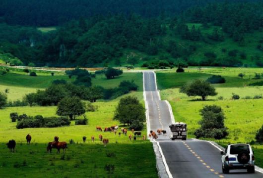 重庆武隆天生三桥+仙女山英文助理小团1日游（2—8人）【2-8 人精品小团，告别拥挤人群，可享受更个性化的服务，行程更自由】