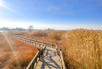 北京野鸭湖国家湿地公园+永宁古城纯玩一日游【[品质游玩]纯玩无购物 行程透明化 不玩套路 安心放心；】