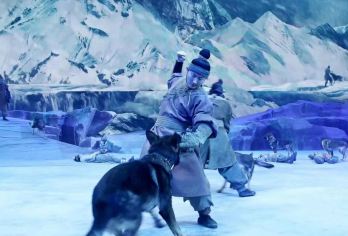 西安《驼铃传奇》秀半日游【市区VIP专车接送/一单一团】【会跑的实景演艺驼铃传奇秀，360度可旋转舞台，真实演绎丝绸之路的故事！】