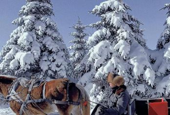 赠雪圈＋滑雪套票＋马拉爬犁＋驯鹿园【亚布力新体委滑雪场一日游【免费接送：亚布力西站/南站/亚布力旅游度假区所有酒店民宿免费接送，出行更方便，避免在寒风中等车。】