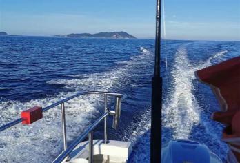 出海钓鱼+小港钓鱼码头/下午4小时海钓/含渔具鱼饵/无二消【体验海钓乐趣 和大海来一次浪漫之约吧】