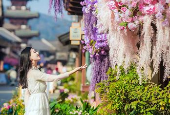 无锡禅意小镇·拈花湾一日游【拈花灯影·赏花 优选纯玩含门票】【[游玩保障]：本线路为纯玩线路，优质服务，行程明确】