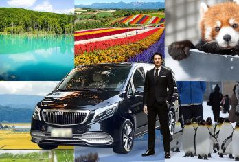 北海道旭山动物园美瑛青池精灵露台一日游【送旭山动物园门票】【超人气北海道路线，一天打卡动物园、青池、白须瀑布、精灵露台地标！无需自驾，轻松出行，适合情侣、亲子】