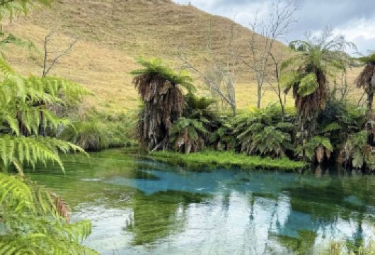 奥克兰包车一日：游清冷蓝泉-逛地热公园-陶波湖上观胡卡瀑布【无需为交通烦恼，舒适专车全程接送，行程灵活自由，随心掌控游览节奏，】