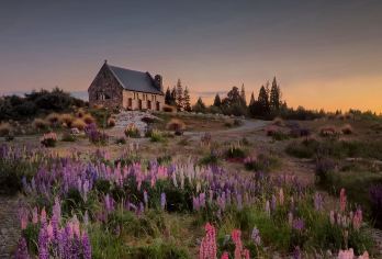 基督城＆库克山＆蒂卡波小团导览之旅（含午餐·英文团）【下单前，请先向客服咨询并确认档期（经典路线，名额紧张）】