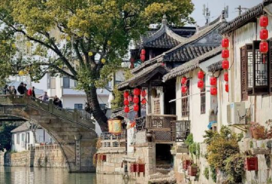 枫泾古镇慢享 1 日游，品水乡味享慢时光【1.上海 1h 直达，逛免费古街，品丁蹄黄酒，乘摇橹船享吴越水乡烟火气。】