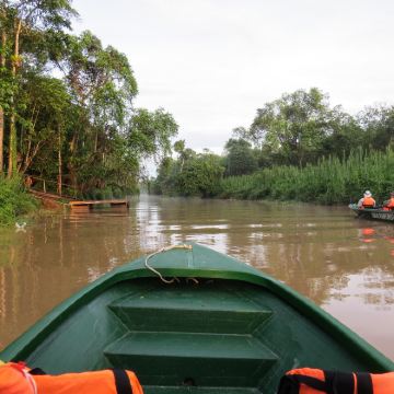 山打根：苏高雨林野生动物探索之旅与黎明巡游