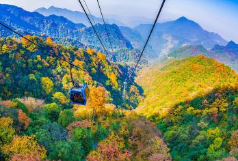 【重庆金佛山一日游】悬崖栈桥+原始森林+滑雪（学生专享）【专车服务，上门接送，纯玩0购物。】