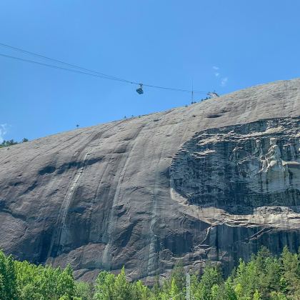 美国亚特兰大佐治亚水族馆+可口可乐博物馆包车【中文司机】