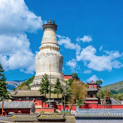 2-8人拼团/包车·五台山一日游·太原/忻州市区商务车上门接