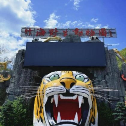 栾川竹海野生动物园丨20人精品小包团