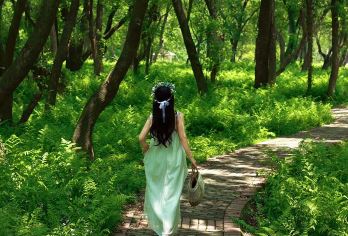 【5人封顶拼小团/纯玩】汤旺河石林景区+五营森林公园一日游【精致小团，专车接送，多款舒适座驾供选择；纯玩无购物!】