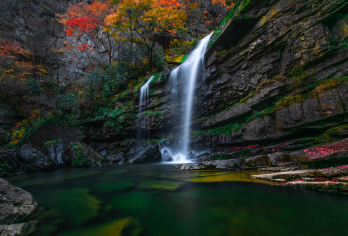 汉中黎坪森林公园一日游【纯玩/景点直达/品质出游】【全程纯玩，无购物】