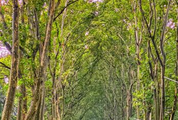 南京一日活动【中山陵音乐台明孝陵文史老师深度讲解8人精品小团】【[专业服务]拒绝黑车、黑导，多证上岗，有颜值担当的司导等你来撩】