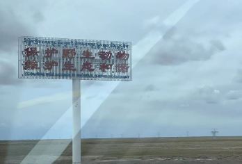 可可西里一日活动|生命树之旅【8人团|送氧气】【可可西里一日小团，8 人精品同行，九座专车舒适畅游】