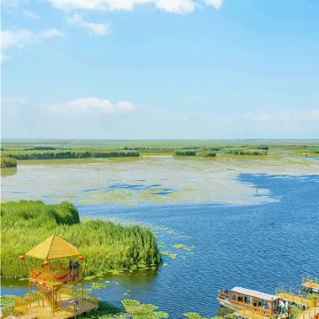 【包车游】库尔勒博斯腾湖+莲海世界+博斯腾湖大河口景区一日游