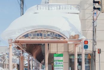 日本札幌往返室兰地球岬-可札幌登别富良野美瑛北海道包车-精选【包车一日游，解锁旅行新方式！独立车辆配备经验丰富的老司机，为您量身打造专属行程。】