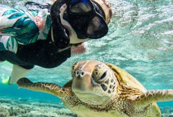 仙本那马达京汀巴汀巴岛邦邦岛一日游可选深潜1V1/浮潜帮拍照【提供专业潜水教练，全套浮潜或潜水装备，带亲体验五彩缤纷的海底世界】