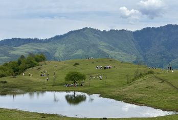 云中牧场休闲徒步一日游丨原始森林、熊猫之乡、牛马向往的旷野【[服务保障]品质纯玩[16人以上安排专业领队]；多年老司机，正规旅游大巴，保证1人1座；旅游意外险】