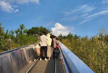杭州千岛湖景区+游艇兜风+网红天屿纯玩一日游【杭州主城区接】【杭州主城区接。打卡千岛湖网红景点天屿观景台含所有费用】