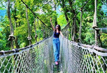 【地标景点】望天树景区纯玩一日游丨金牌导游丨可升级特色簸箕餐【[价格透明]一价全包，一站式体验水陆空全景：乘船游览南腊河、挑战树冠走廊，免去您多次购票烦恼】