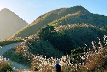 大南山精华线一日游·户外登山+赏高山大草坡芦苇荡【品质出游】