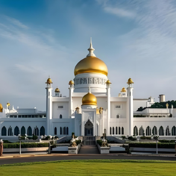 文莱经典水上村+红树林包车游一日游（港口接送）