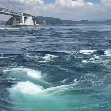 大阪出发-德岛一日游/鸣门漩涡-涡之道-祖谷溪【不含门票】