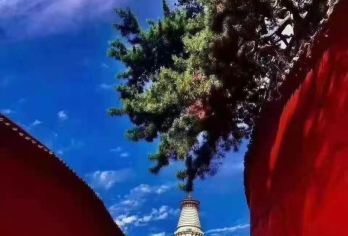 五爷庙+龙泉寺+殊像寺+五台山一日游【忻州市区内免费接送】【深入圣地，祈福还愿。启智修心，必来之地。】