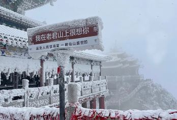 洛阳起止老君山一日游【高速直达景区内索道口，大巴可放行李】【[早班晚班任选]晚班出发可看夜景灯光 可选择升级全程索道，无购物，纯玩团不进店无任何隐消】