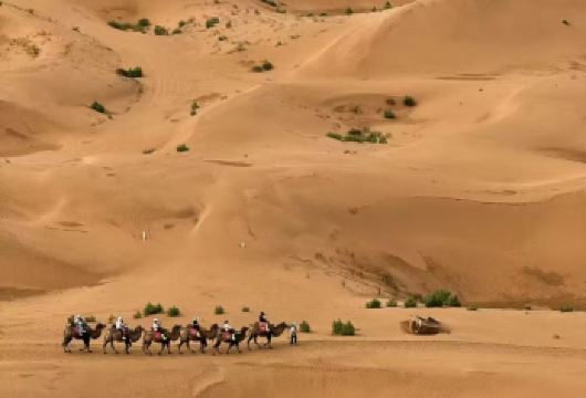 宁夏银川+中卫沙坡头+腾格里沙漠+66号公路一日游【[纯玩包车团]市内上门接送，行程、时间自由畅玩景区、专车专用、独立成团(1单1团)】