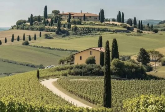 意大利锡耶纳+奥尔恰谷一日游【行程可调/中文包车】【尊享一对一高端行程定制，豪华包车专属礼遇，专业旅行顾问24小时恭候垂询。】