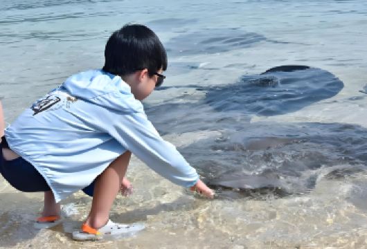 分界洲岛+南湾猴岛+呆呆岛一日游【专车上门接送不含景区门票】【亲子互动，深度体验，尽享三岛风光，探秘海洋生态】